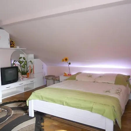 Goscinne Anna 홈스테이 *