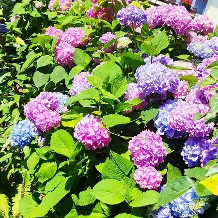 Goscinne Anna Privatunterkunft