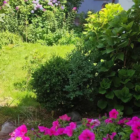 홈스테이 Goscinne Anna 우스트카