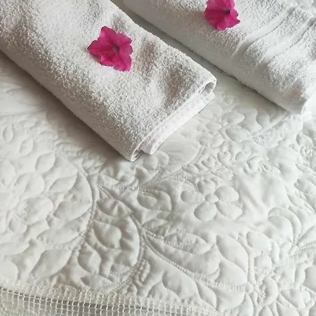 Goscinne Anna 우스트카