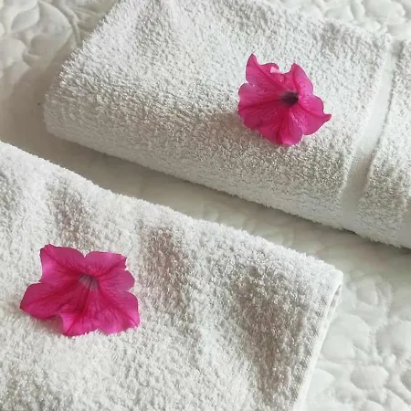 홈스테이 Goscinne Anna *